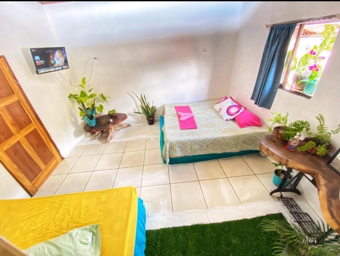 Appartement Passiflora'S à Quepos Extérieur photo